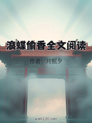 浪蝶偷香全文阅读