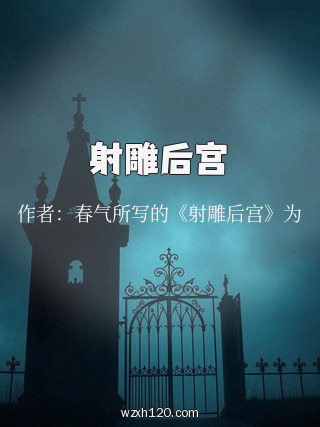 射雕后宫