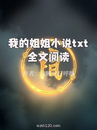 我的姐姐小说txt全文阅读