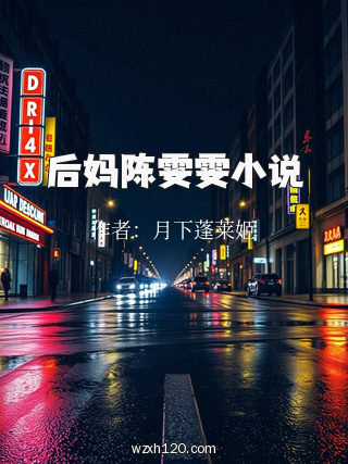 后妈陈雯雯小说