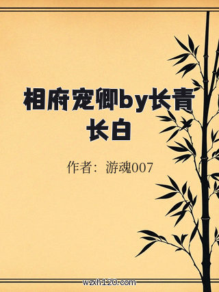 相府宠卿by长青长白