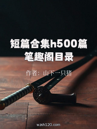 短篇合集h500篇笔趣阁目录