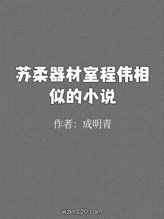 苏柔器材室程伟相似的小说
