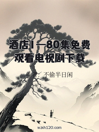酒店1—80集免费观看电视剧下载