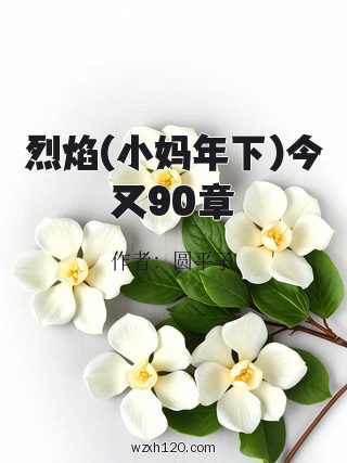 烈焰(小妈年下)今又90章