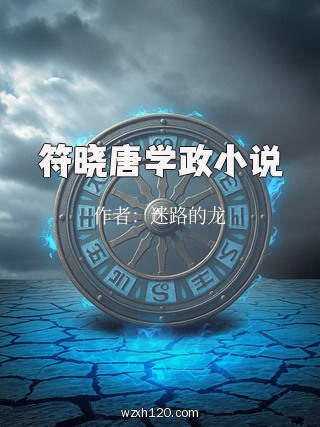 符晓唐学政小说