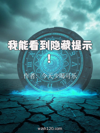 我能看到隐藏提示!