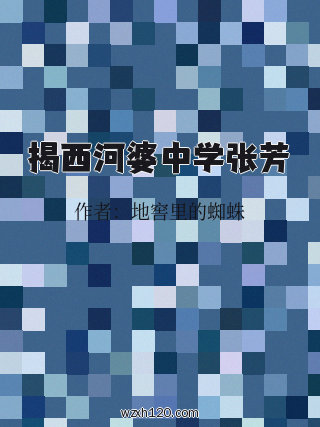 揭西河婆中学张芳