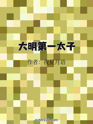 大明第一太子