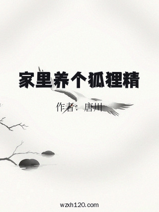 家里养个狐狸精
