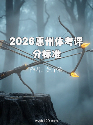 2026惠州体考评分标准