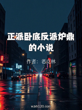 正派卧底反派炉鼎的小说