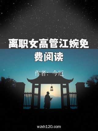 离职女高管江婉免费阅读