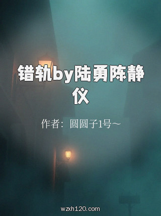 错轨by陆勇陈静仪