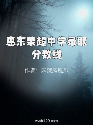 惠东荣超中学录取分数线