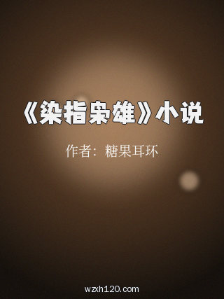 《染指枭雄》小说