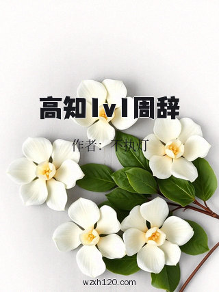 高知1v1周辞