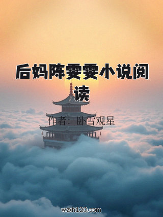 后妈陈雯雯小说阅读