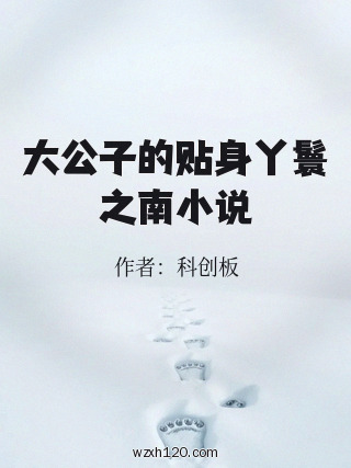 大公子的贴身丫鬟之南小说