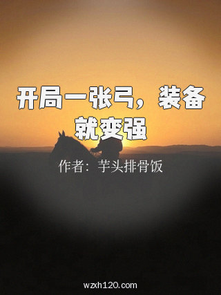开局一张弓,装备就变强