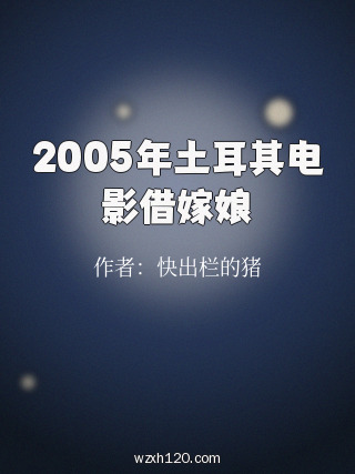 2005年土耳其电影借嫁娘
