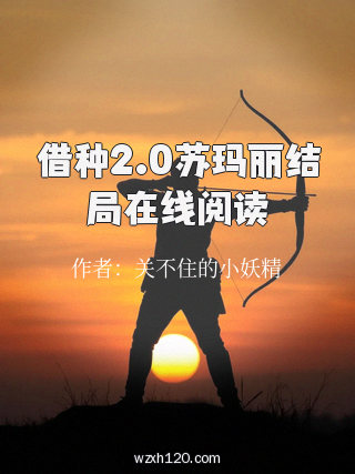 借种2.0苏玛丽结局在线阅读