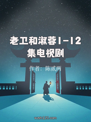 老卫和淑蓉1-12集电视剧
