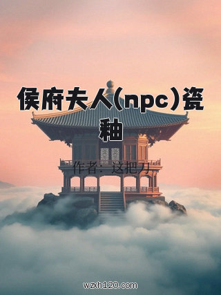 侯府夫人(npc)瓷釉