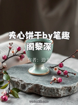 夹心饼干by笔趣阁黎深