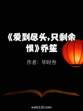 《爱到尽头,只剩余恨》乔笙