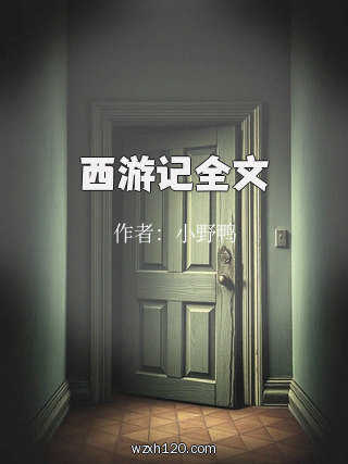 西游记全文