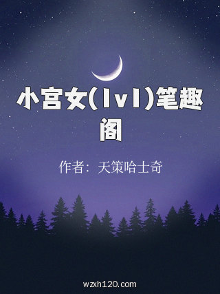 小宫女(1v1)笔趣阁