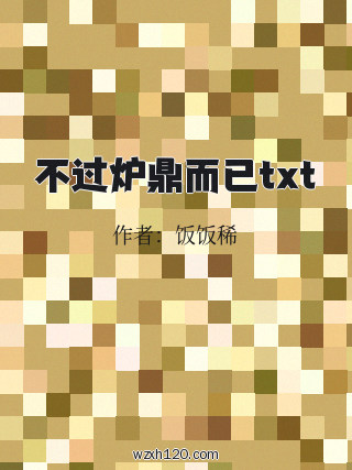 不过炉鼎而已txt
