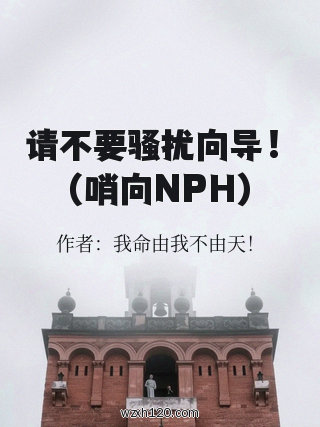 请不要骚扰向导！（哨向NPH）