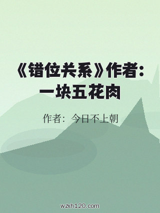 《错位关系》作者:一块五花肉