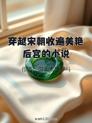 穿越宋朝收遍美艳后宫的小说