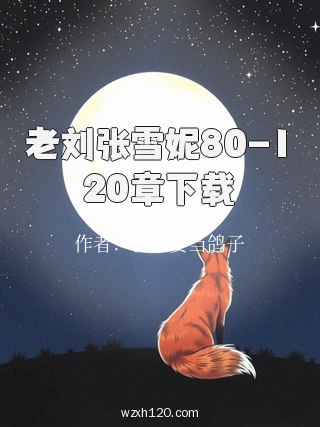 老刘张雪妮80-120章下载