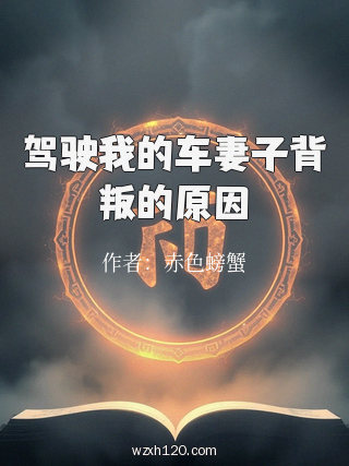 驾驶我的车妻子背叛的原因