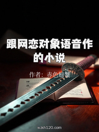 跟网恋对象语音作的小说