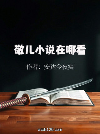 敬儿小说在哪看