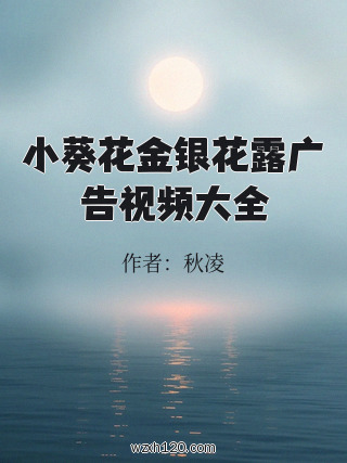 小葵花金银花露广告视频大全