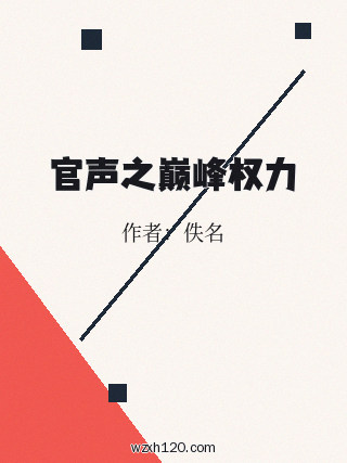 官声之巅峰权力