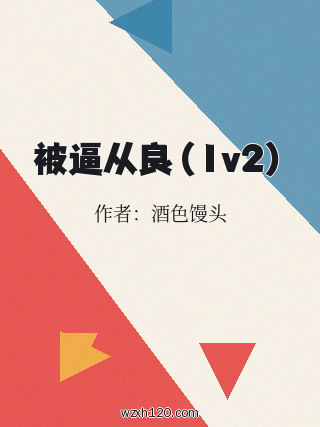 被逼从良(1v2)