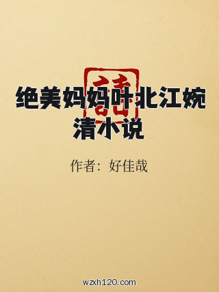 绝美妈妈叶北江婉清小说