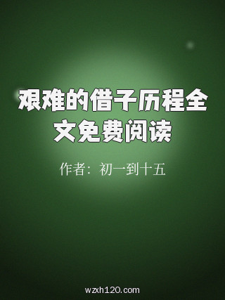 艰难的借子历程全文免费阅读