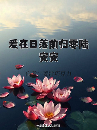 爱在日落前归零陆安安
