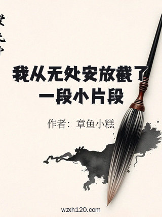 我从无处安放截了一段小片段