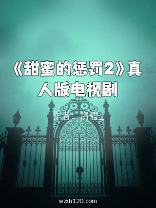 《甜蜜的惩罚2》真人版电视剧