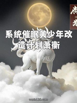 系统催眠美少年改造计划萧衡
