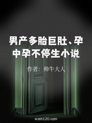 男产多胎巨肚、孕中孕不停生小说